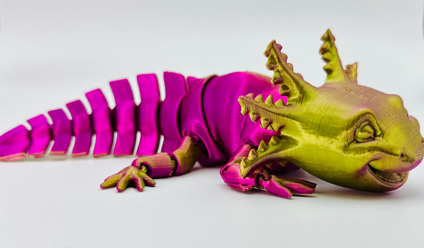 MMM axolotl