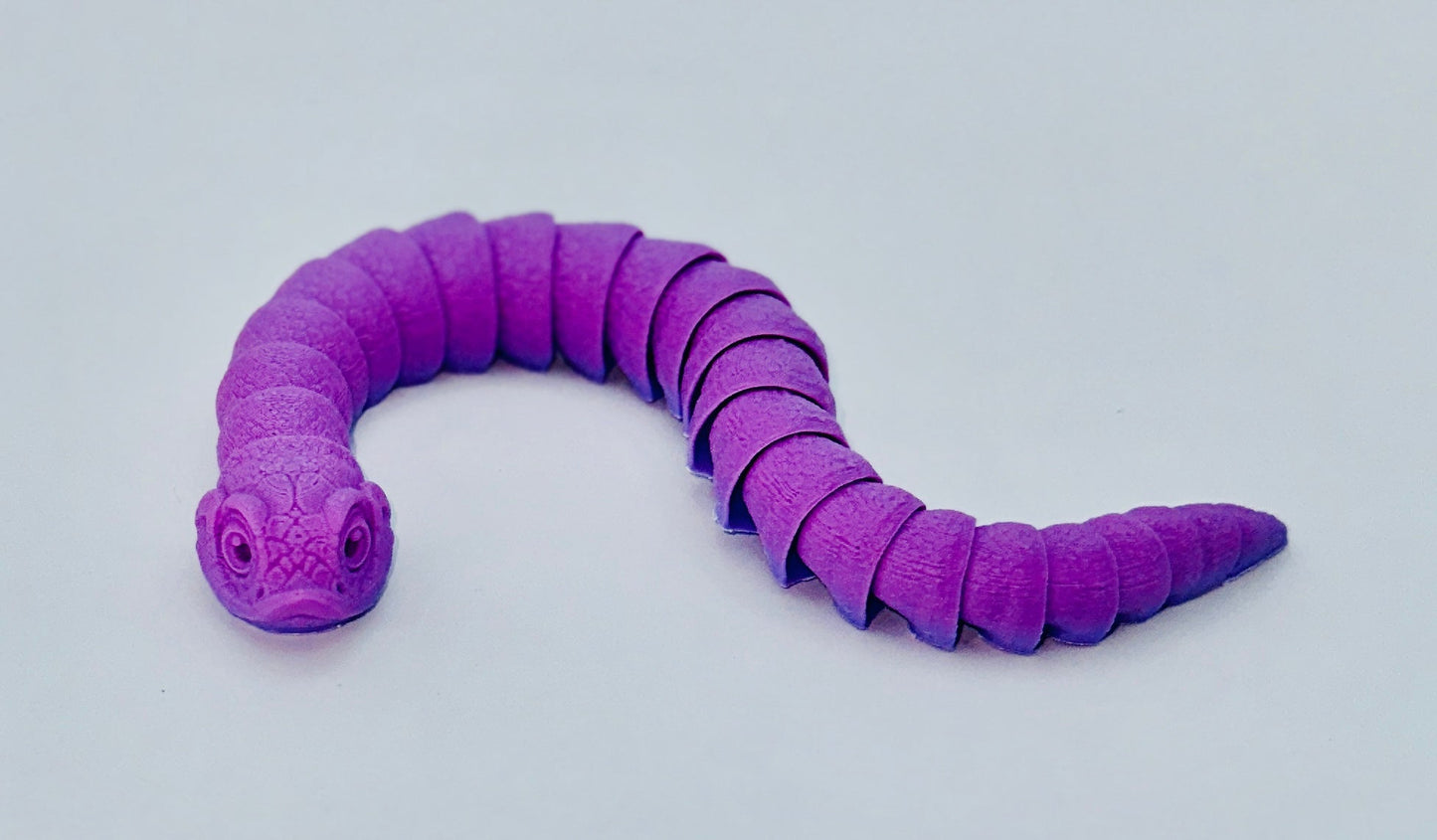MMM Hog Nose Snake adult