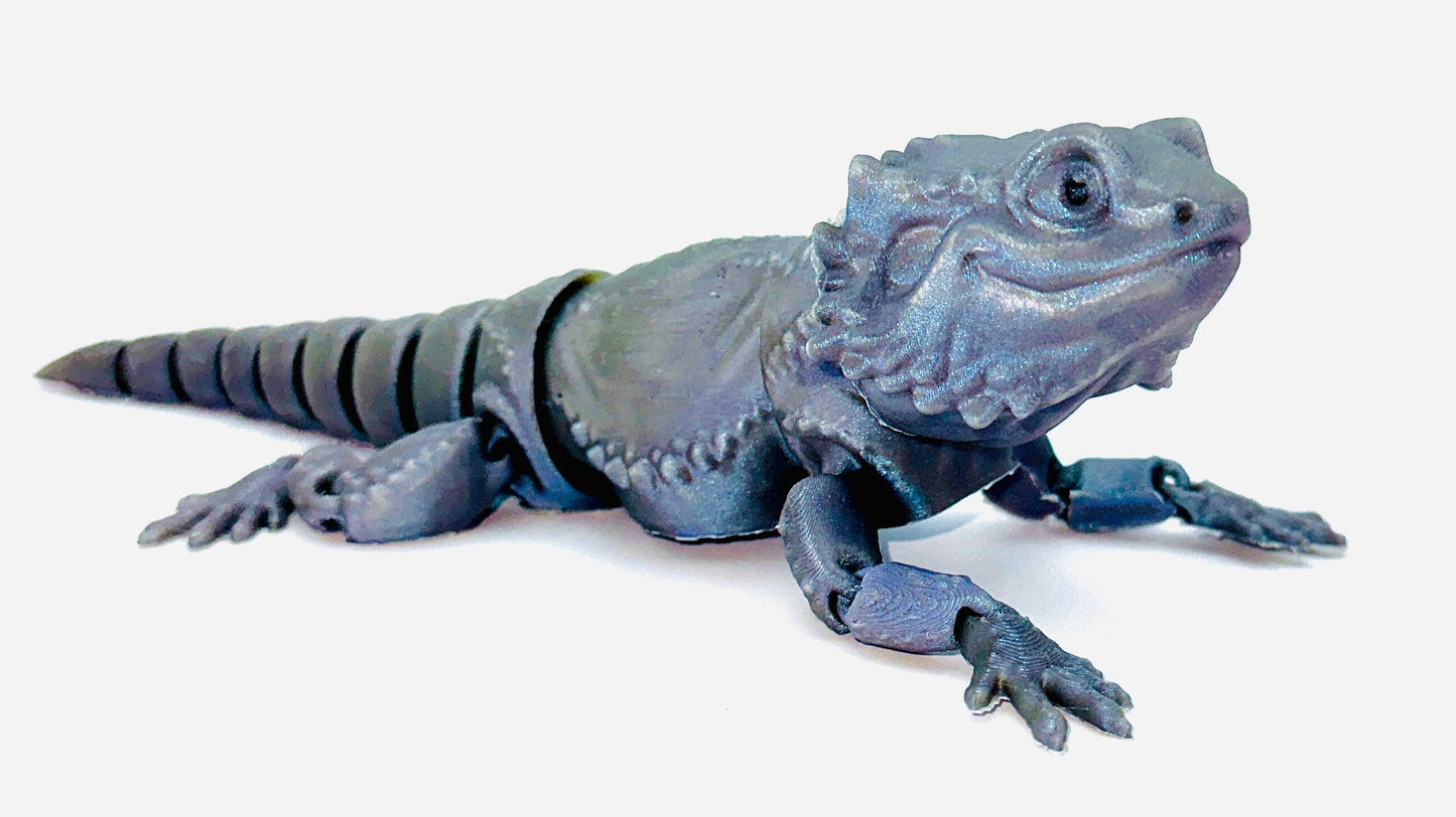 MMM Bearded Dragon