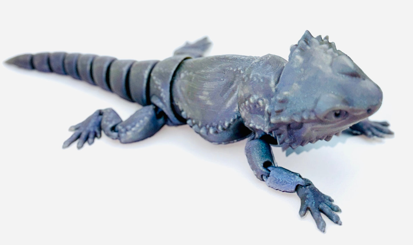 MMM Bearded Dragon